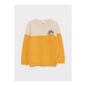 Bisiklet Yaka Uzun Kollu Renk Bloklu Erkek Bebek Triko Kazak