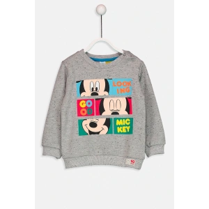 Erkek Bebek Sweatshirt