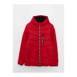 Kapüşonlu Baskılı Erkek Çocuk Şişme Mont