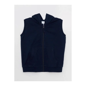 LCW baby Kapüşonlu Erkek Bebek Yelek