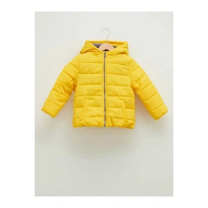 LCW baby Sarı Kapüşonlu Uzun Kollu Basic Erkek Bebek Fermuarlı Mont
