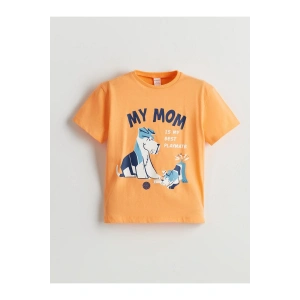 LCW Kids Bisiklet Yaka Baskılı Erkek Çocuk Tişört (S5)