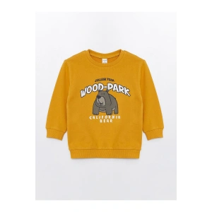 LCW Kids  Bisiklet Yaka Kalın Baskılı Erkek Çocuk Sweatshirt