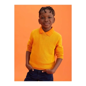 LCW Kids hardal sarı Bisiklet Yaka Basic Uzun Kollu Erkek Çocuk Triko Kazak