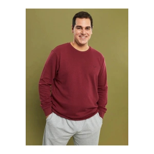 LCWAIKIKI Basic Büyük Beden Bisiklet Yaka Uzun Kollu Basic Erkek Sweatshirt