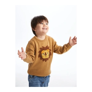 Lw - Bisiklet Yaka Uzun Kollu Desenli Erkek Bebek Triko Kazak