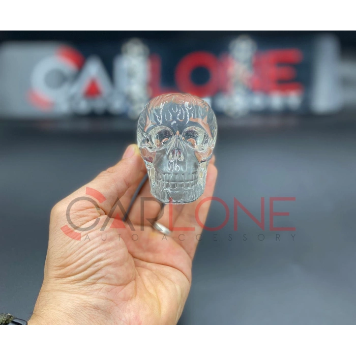 Toptan Kuru Kafa İskelet Epoksi Vites Topuzu Aparatlı