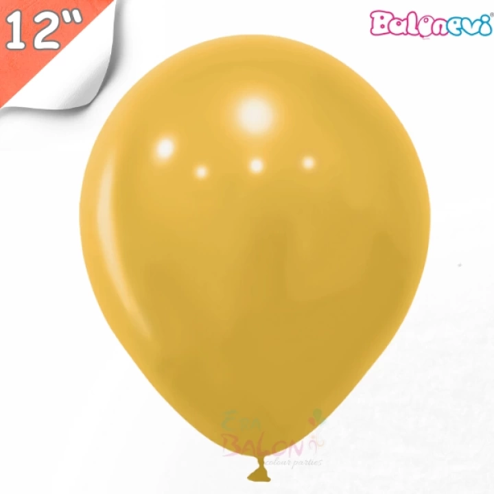 Pastel 12 Balon Balonevi Hardal