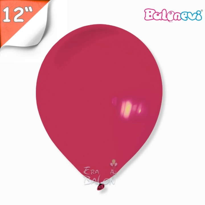 Pastel 12 Balon Balonevi Mürdüm