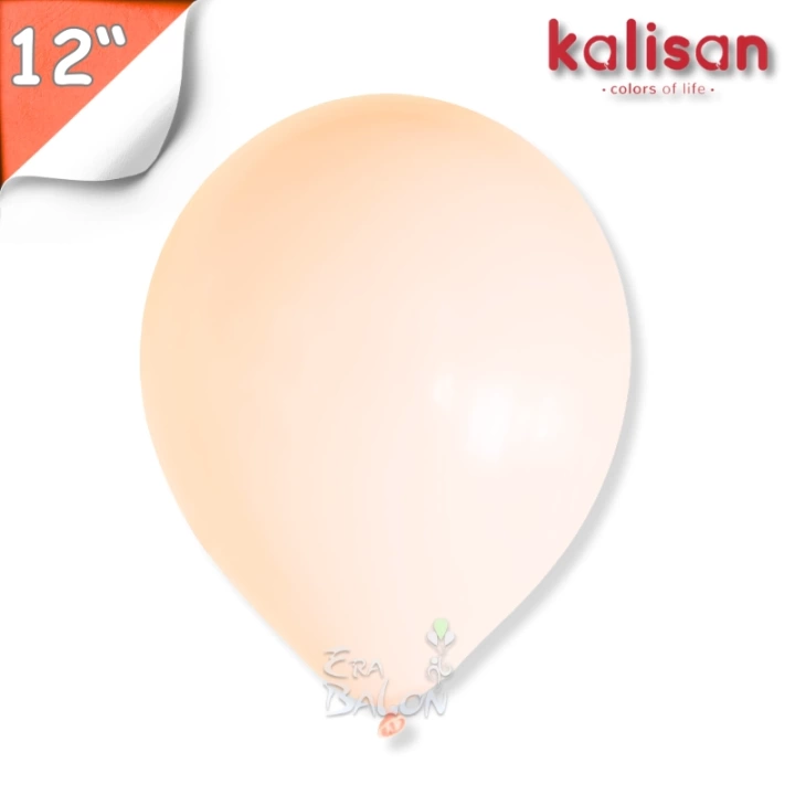 Makaron 12 Balon Kalisan Somon (Macaron Salmon)