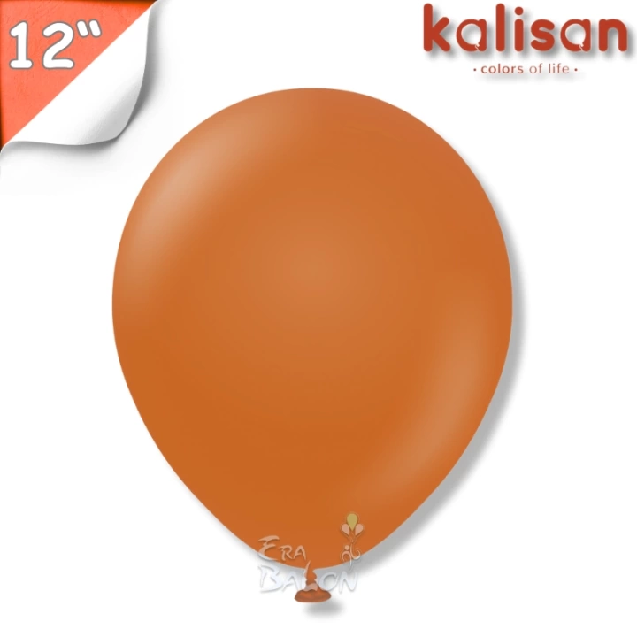 Retro 12 Balon Kalisan Yanık Turuncu (Rust Orange)