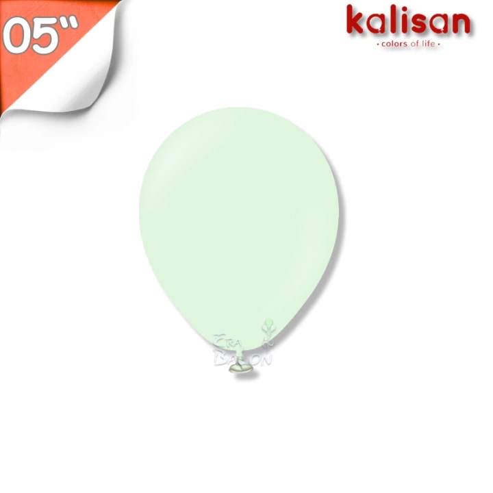 Makaron 05 Balon Kalisan Solgun Yeşil (Macaron Pale Green)