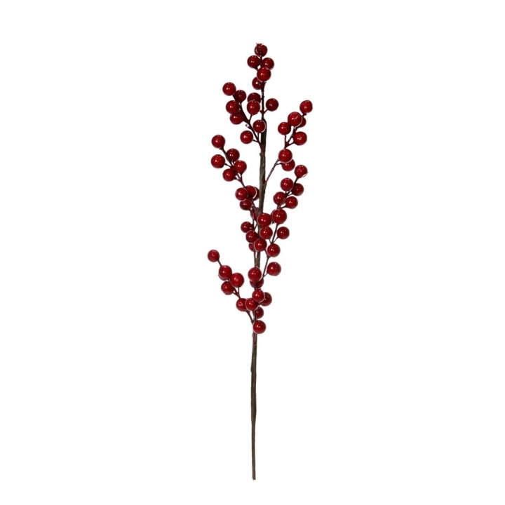 Dal Berry Kırmızı 50 Cm