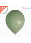 Pastel 12 Balon Balonevi Küf Yeşili