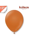 Retro 12 Balon Kalisan Yanık Turuncu (Rust Orange)