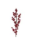 Dal Berry Kırmızı 50 Cm