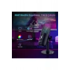 Profesyonel Kardioid RGB Oyuncu Stüdyo Kayıt Kablolu Podcast Mikrofonu