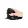 Delux M618GX Ergonomik Dikey 6 Tuşlu Kablosuz Optik Mouse