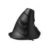 Delux M618GX Ergonomik Dikey 6 Tuşlu Kablosuz Optik Mouse
