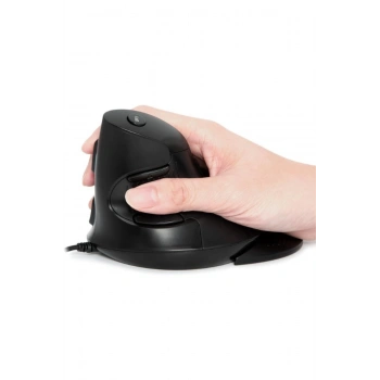 Delux M618GX Ergonomik Dikey 6 Tuşlu Kablosuz Optik Mouse