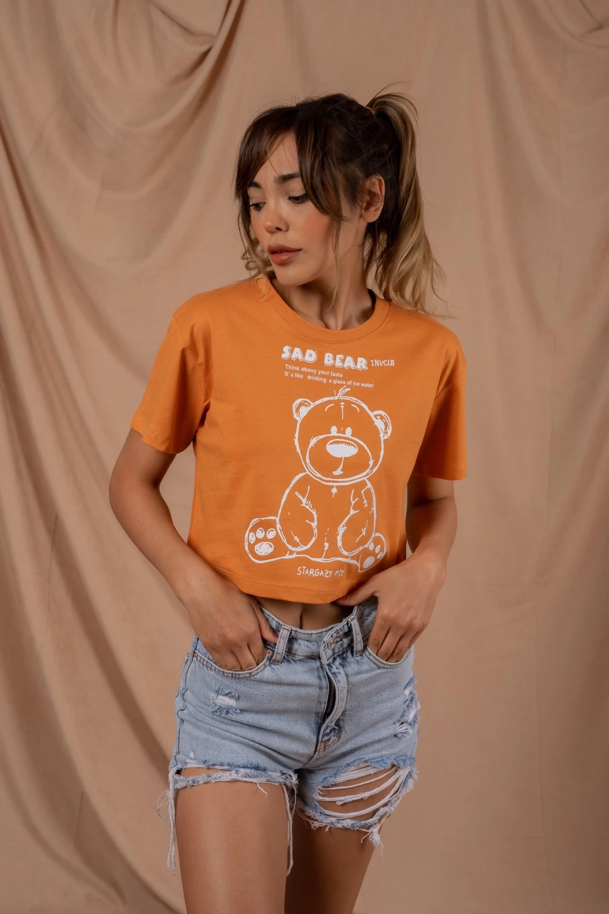 Vizon Sad Bear Crop Tshirt