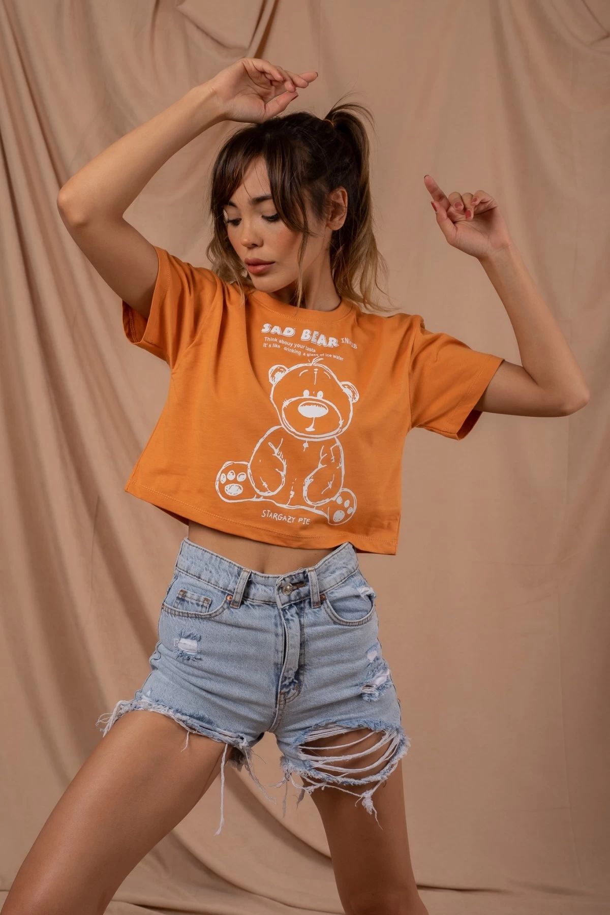 Vizon Sad Bear Crop Tshirt