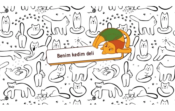 Evdeki En Tatlı Üye İçin Gerekli Olanlar: Popüler Pet Ürünleri