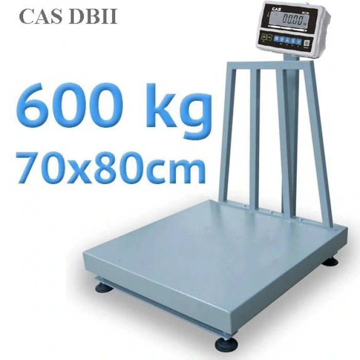 CAS DBII 300X600 KG 70X80 TEK LC BOYALI BASKÜL