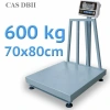CAS DBII 300X600 KG 70X80 TEK LC BOYALI BASKÜL