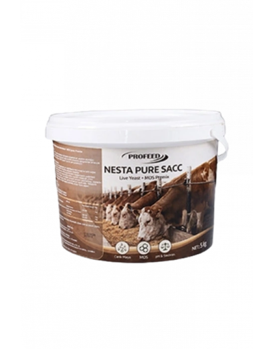NESTA PURE SACC