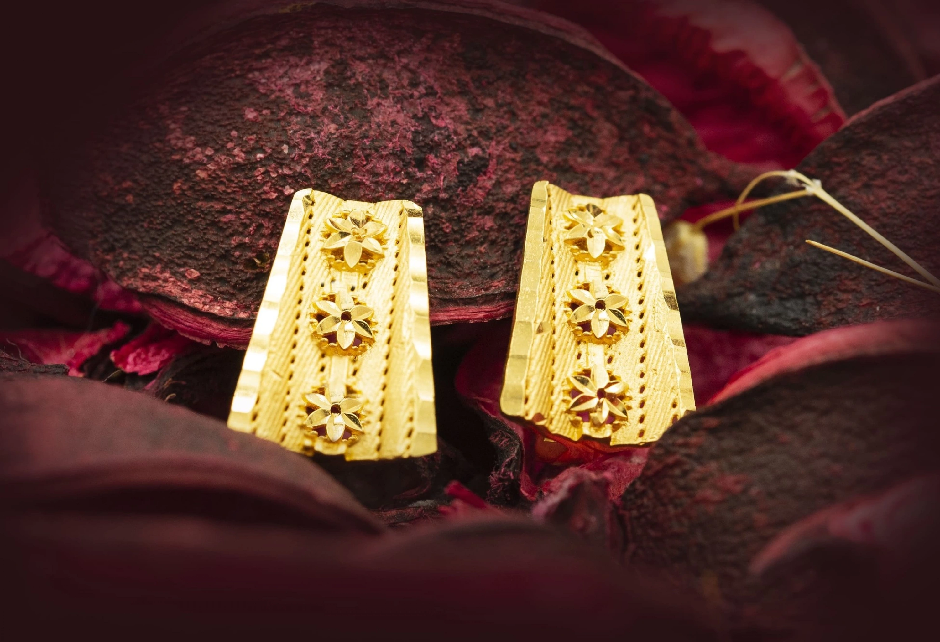 Vizyon Model 22 Ayar Altın Küpe