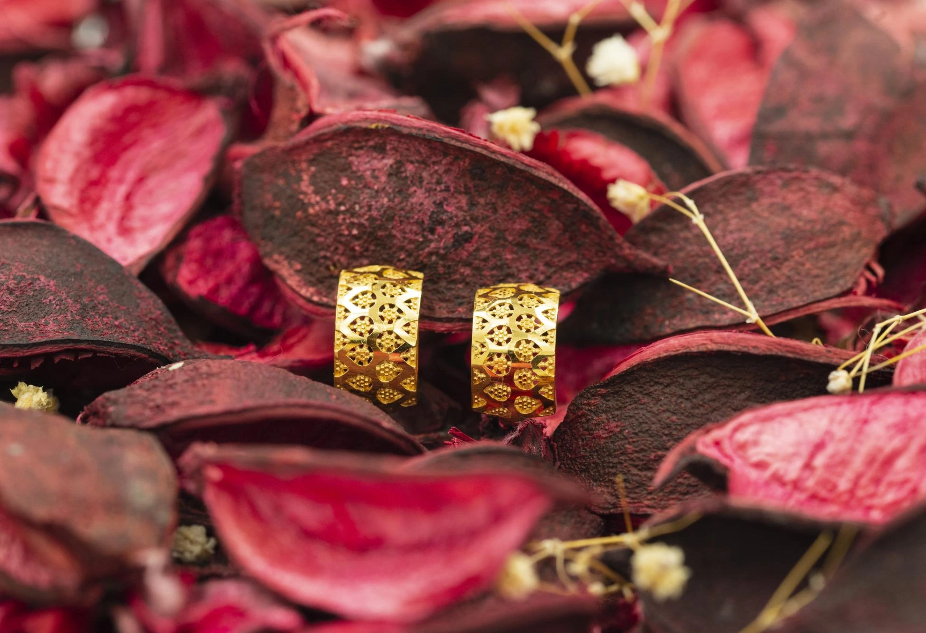 Vizyon Model 22 Ayar Altın Küpe