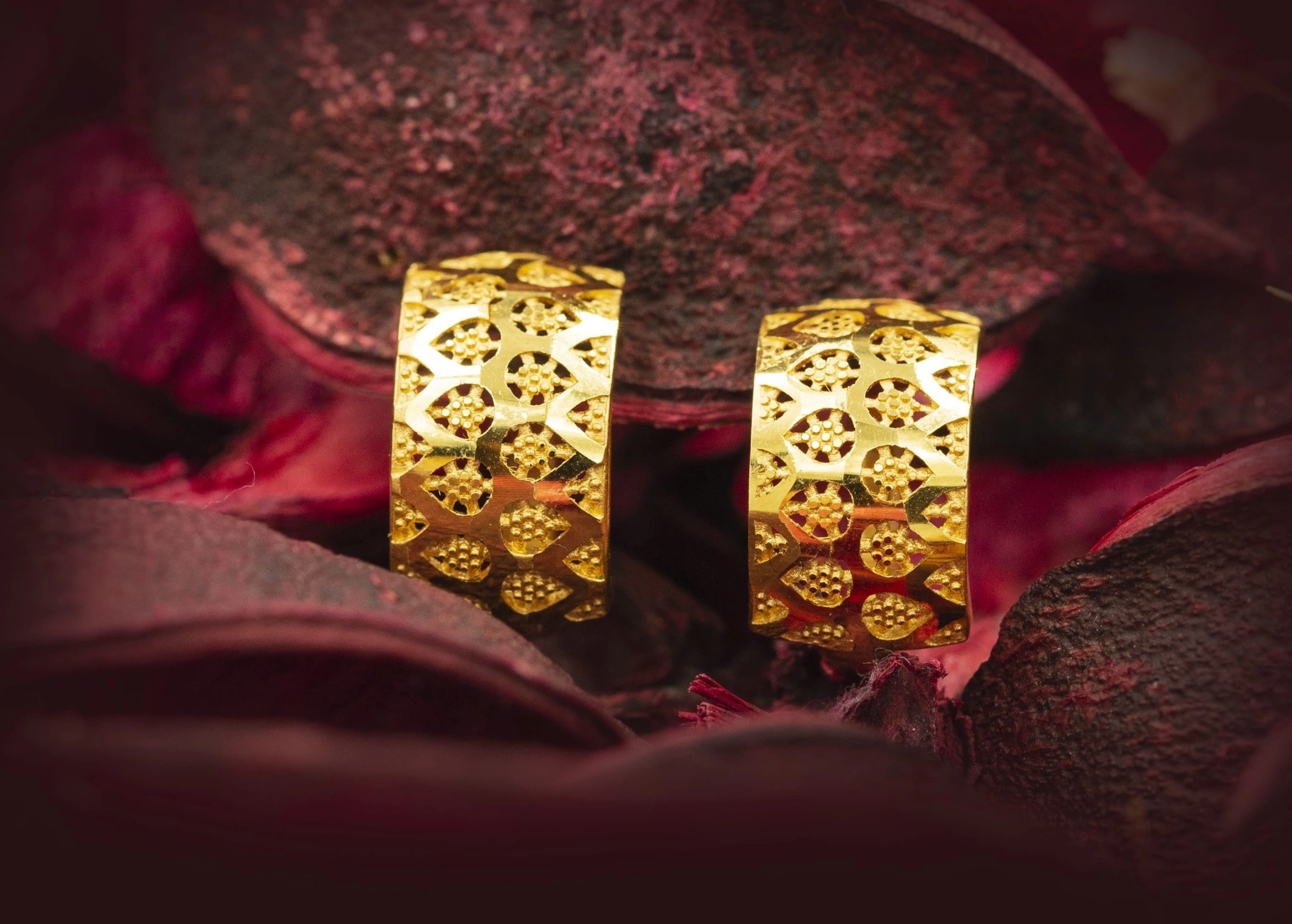 Vizyon Model 22 Ayar Altın Küpe