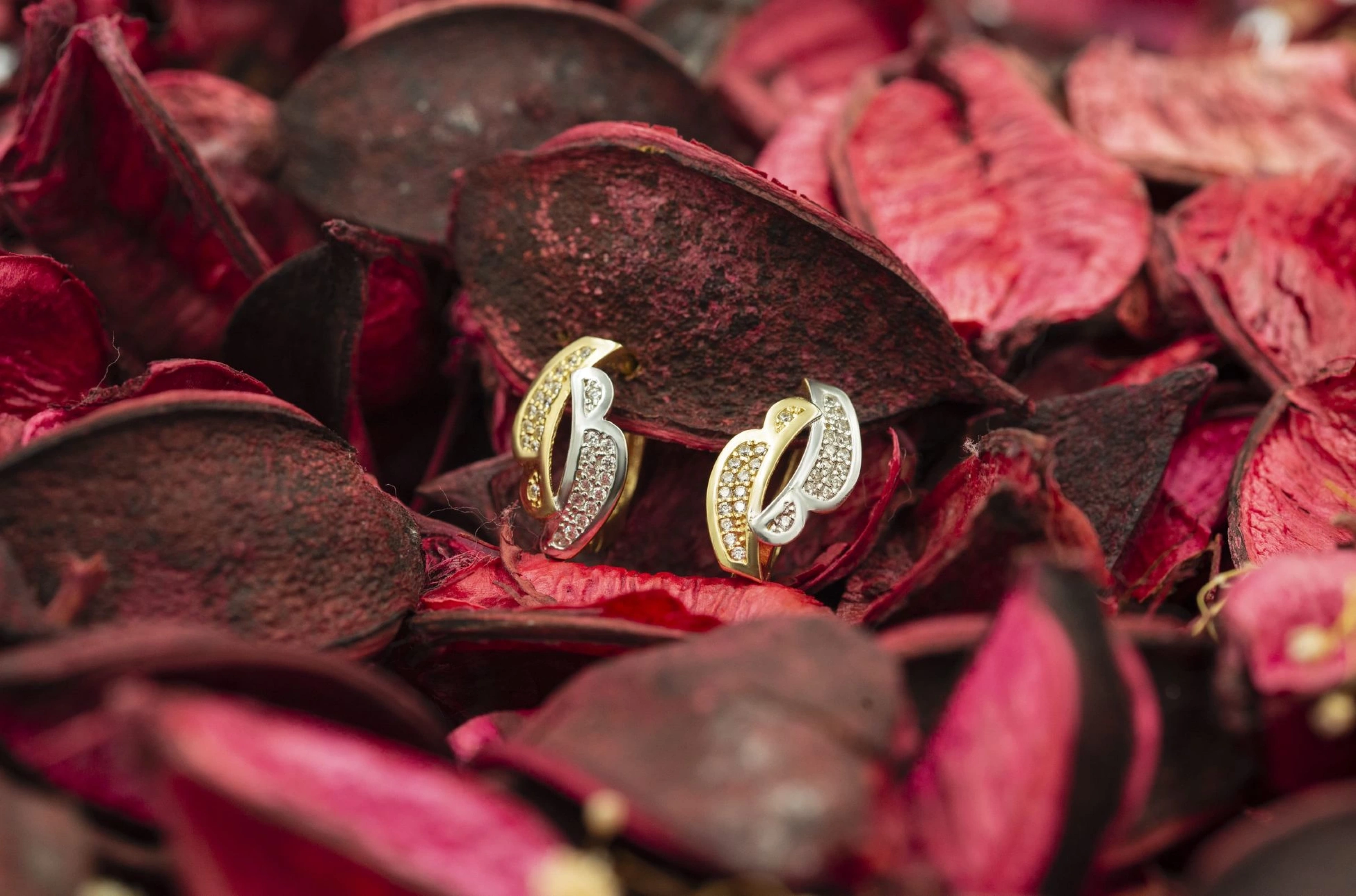 Çift Renkli 14 Ayar Altın Küpe