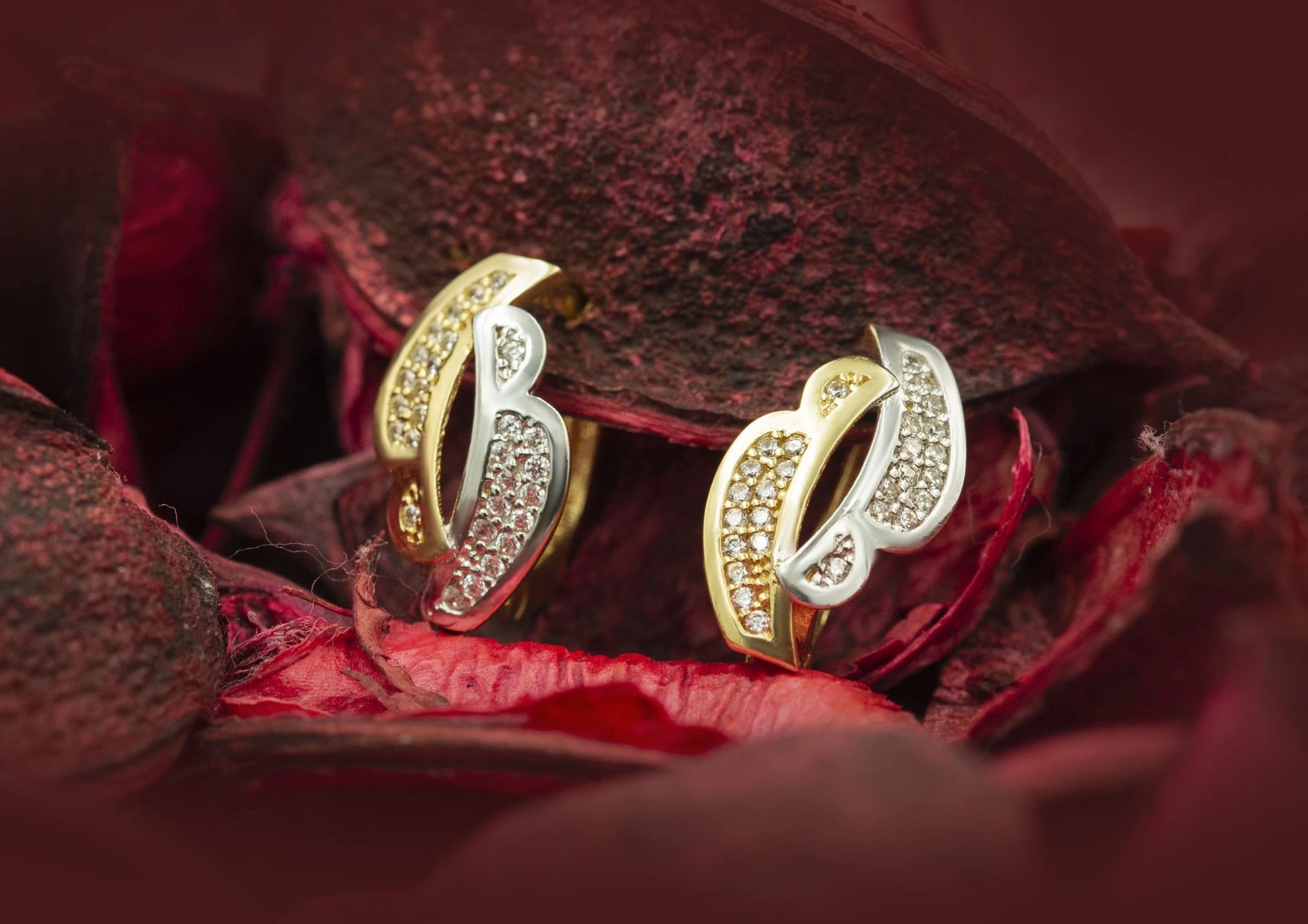 Çift Renkli 14 Ayar Altın Küpe