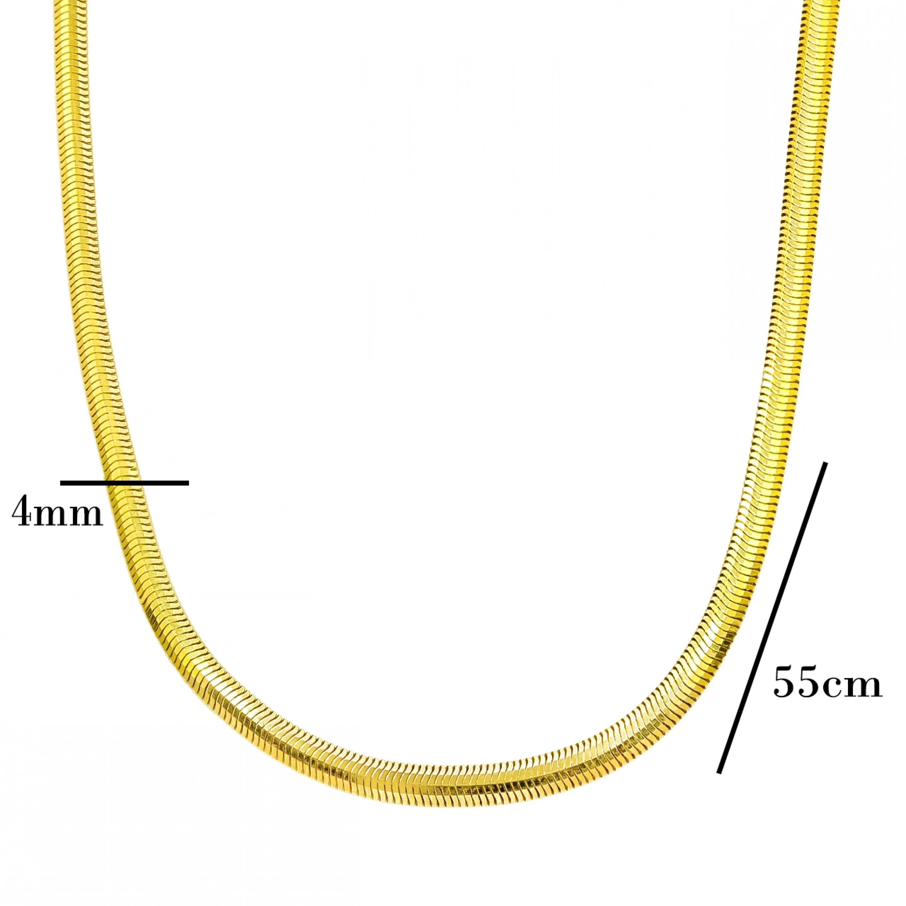 Balık Sırtı 22 Ayar Zincir - 55 CM