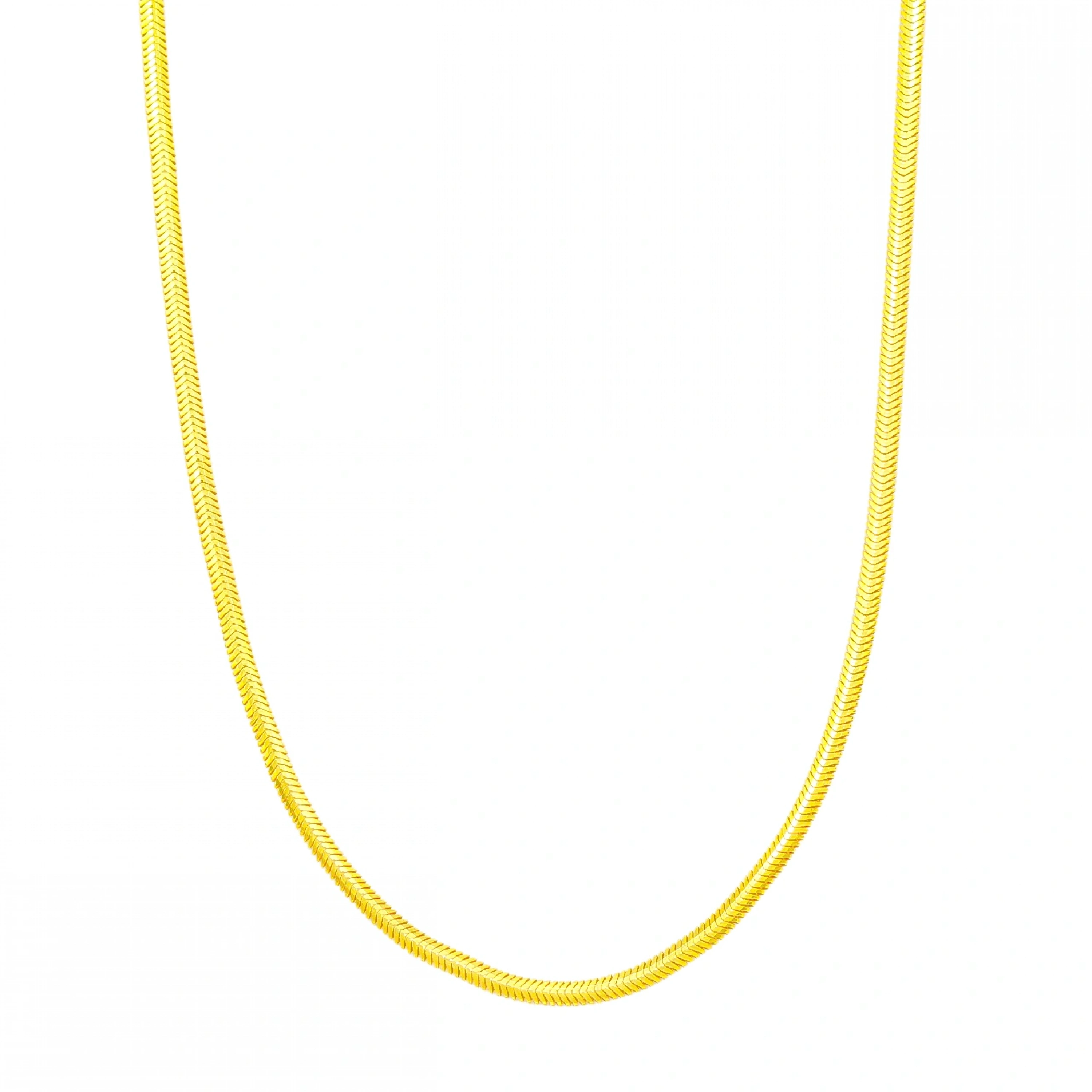 Balıksırtı 22 Ayar Altın Zincir - 45 cm