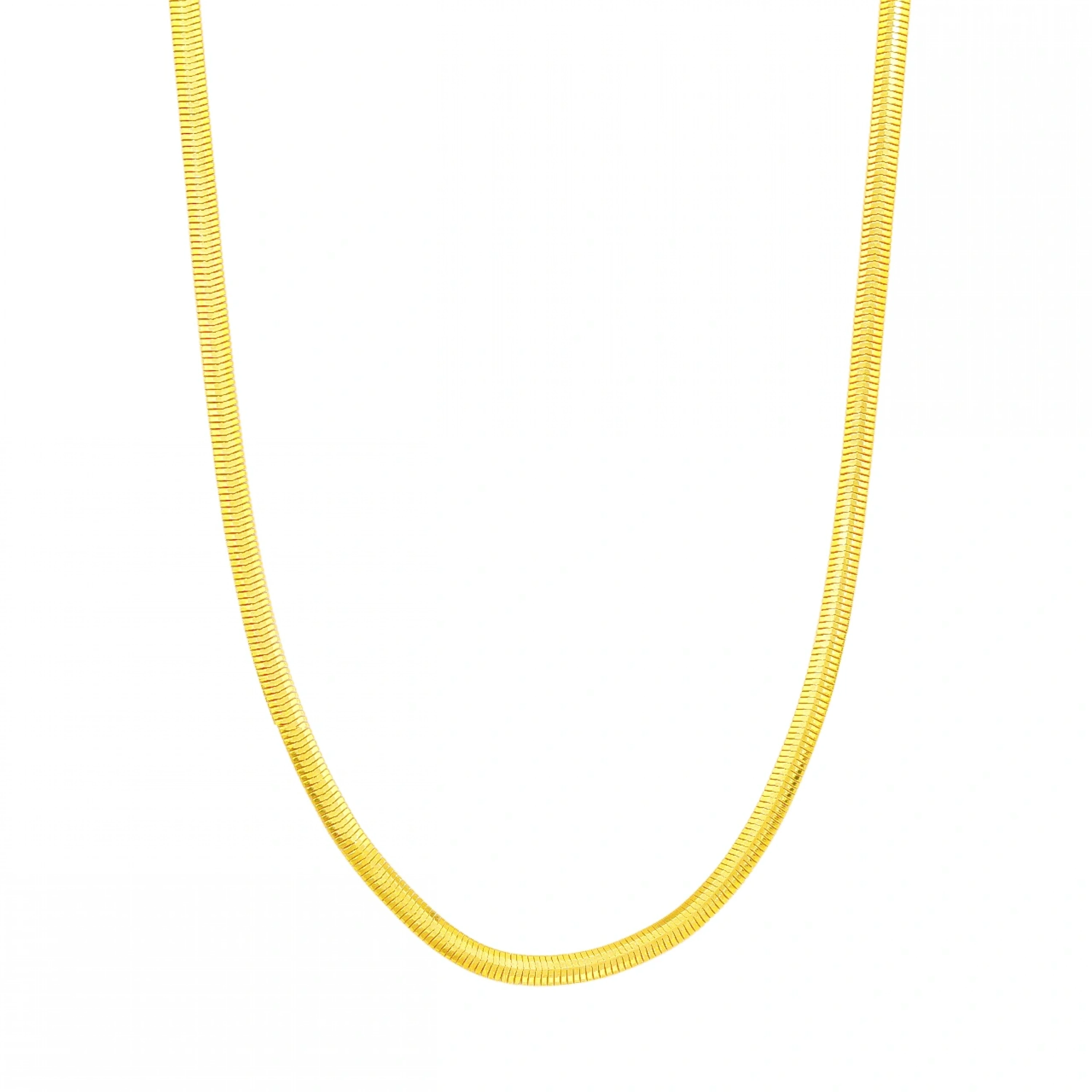 Balıksırtı 22 Ayar Altın Zincir - 60 cm