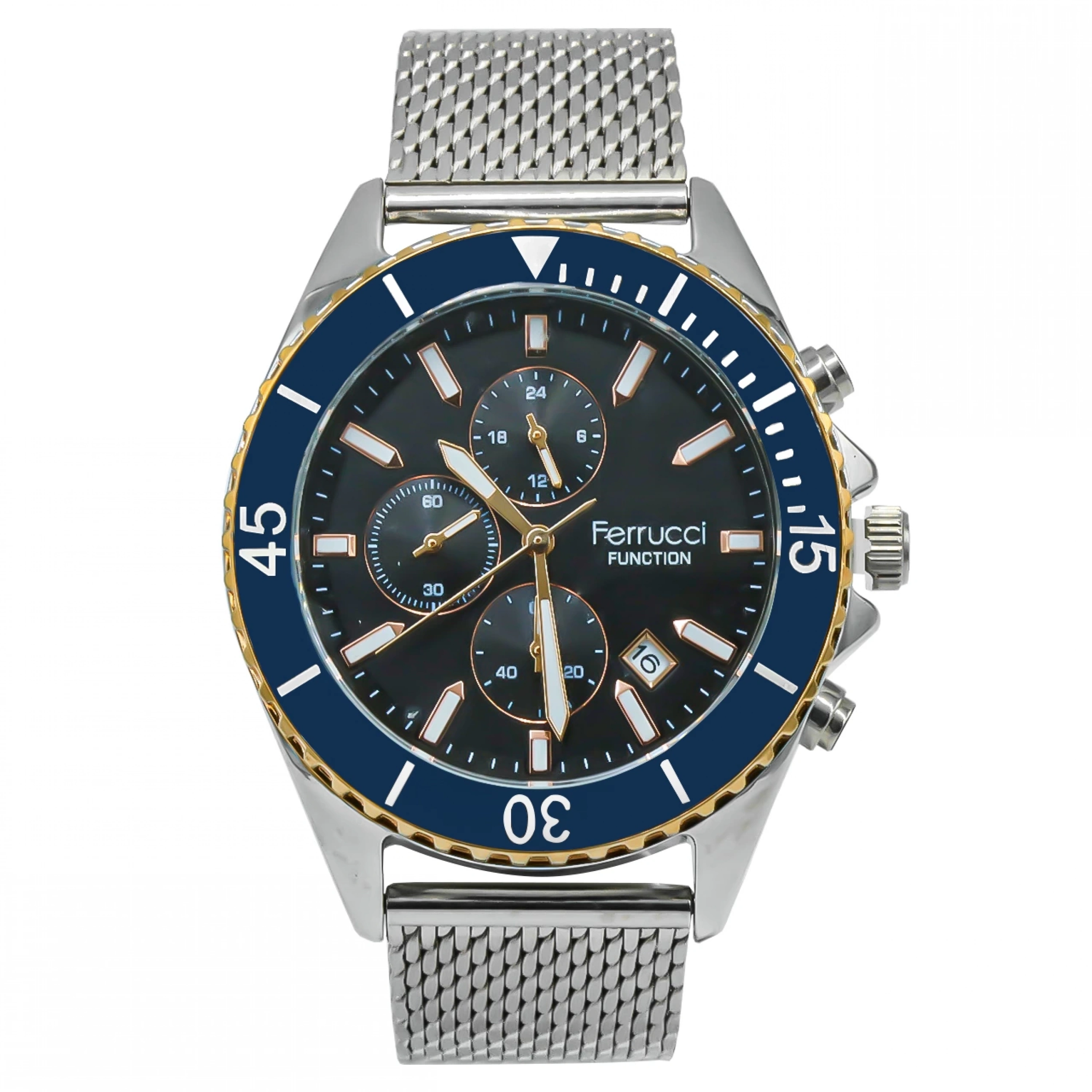 Ferrucci Function Compass Blue Model