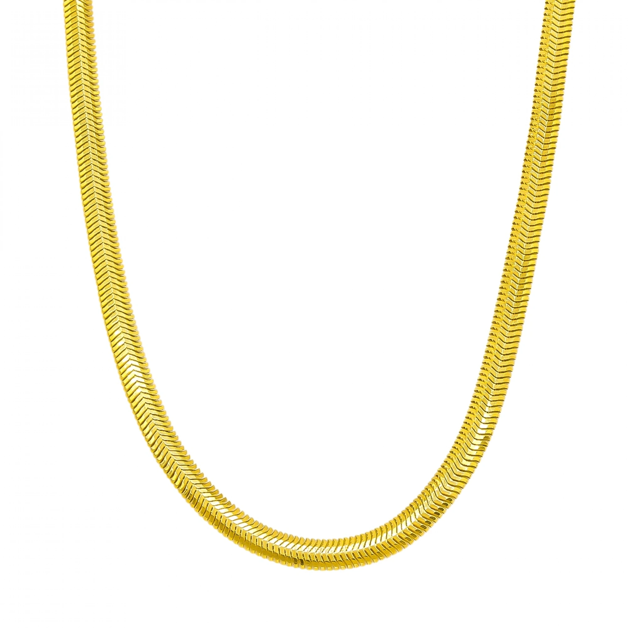 Balık Sırtı 22 Ayar Zincir - 45 CM