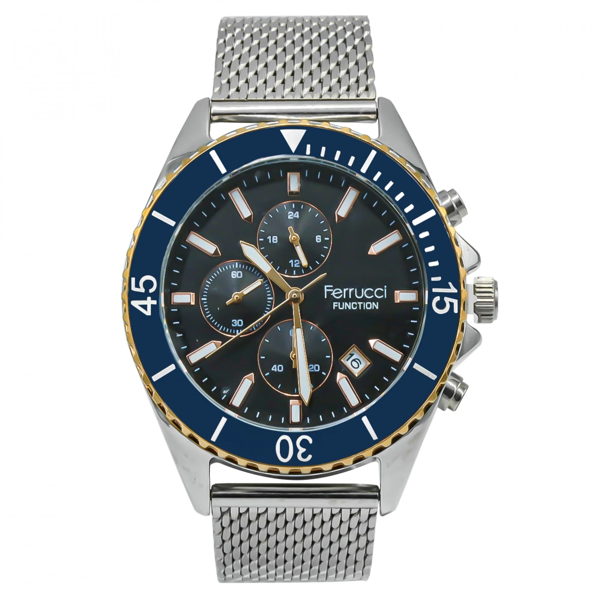 Ferrucci Function Compass Blue Model