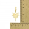 Kalpli Kuzey Yıldızı 14 Ayar Altın Kolye Ucu