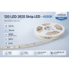 ECO LED HAUS 120 LED SMD ŞERİT LED 4000K 12V