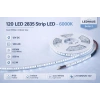 ECO LED HAUS-120 LED SMD ŞERİT LED 6500K 12V