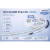 ECO LED HAUS-120 LED SMD ŞERİT LED 6500K 24V