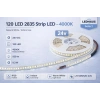 ECO LED HAUS-120 LED SMD ŞERİT LED 4000K 24V