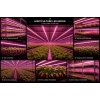 LS18-ML468 18W Full Spectrum Grow Bitki Aydınlatması Modülü