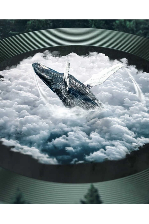 Apple iPhone 11 Pro Zore CL-02 Kamera Lens Koruyucu