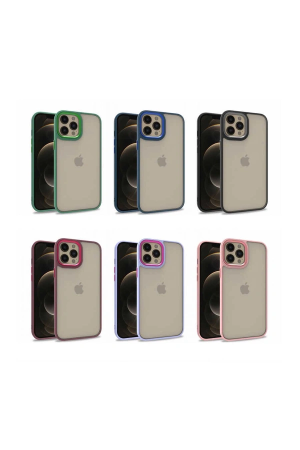 Apple iPhone 12 Pro Max Kılıf Zore Flora Kapak