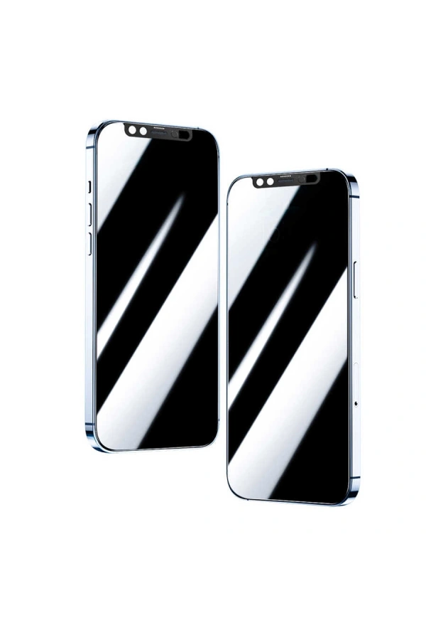 Apple iPhone 12 Pro Max Zore Secret Temperli Cam Ekran Koruyucu
